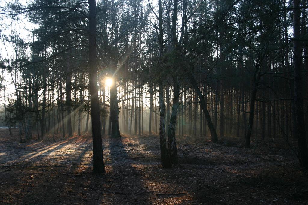 Bednarzówka Vila Nowy Tomyśl Exterior foto